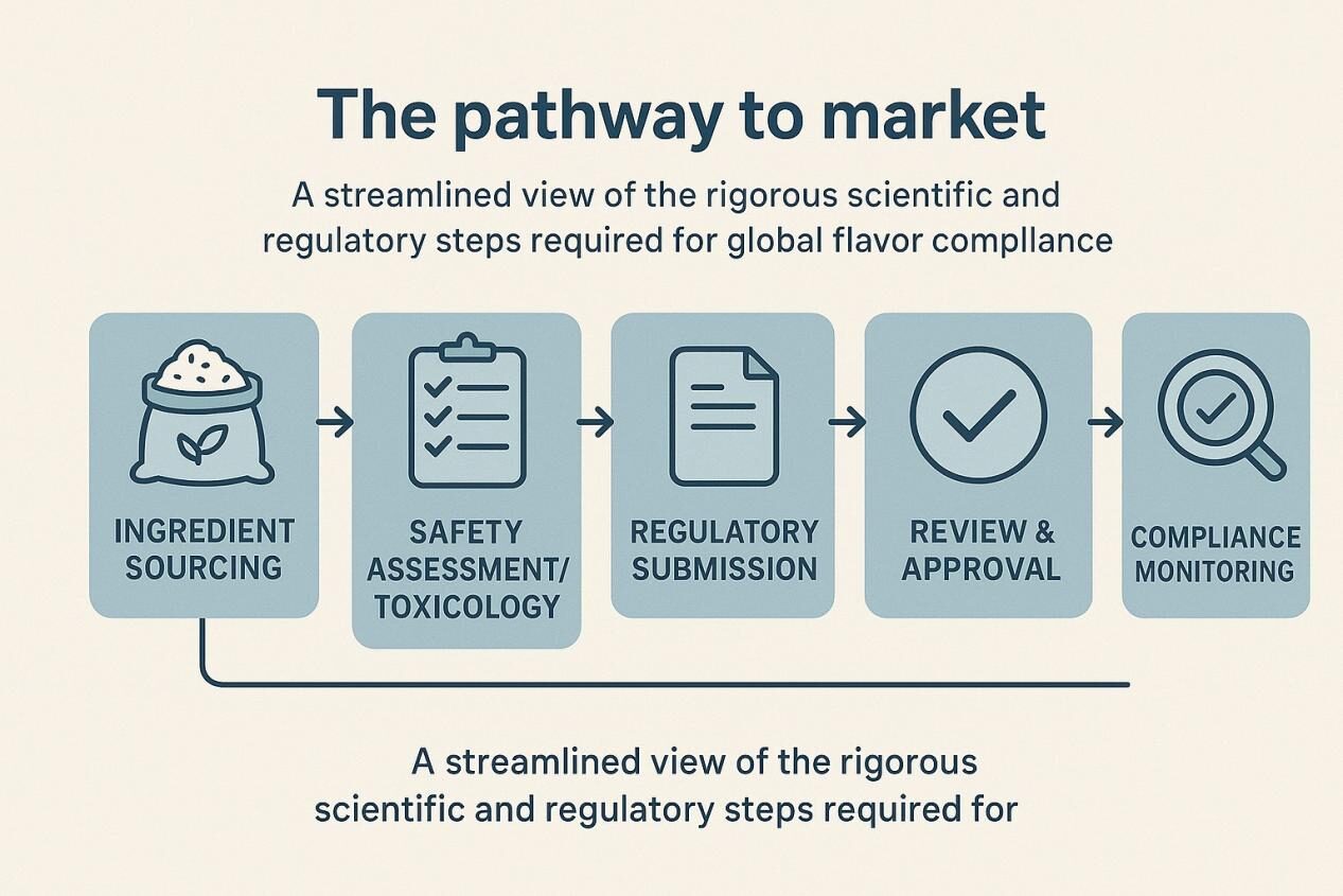 信息图流程图说明了新风味物质的监管批准过程。显示的阶段包括成分采购,安全评估/毒理学,法规提交,审查和批准以及合规性监测,并通过箭头连接以表明进展。字幕写道:“通往市场的途径:全球风味合规所需的严格科学和监管步骤的简化视图。”