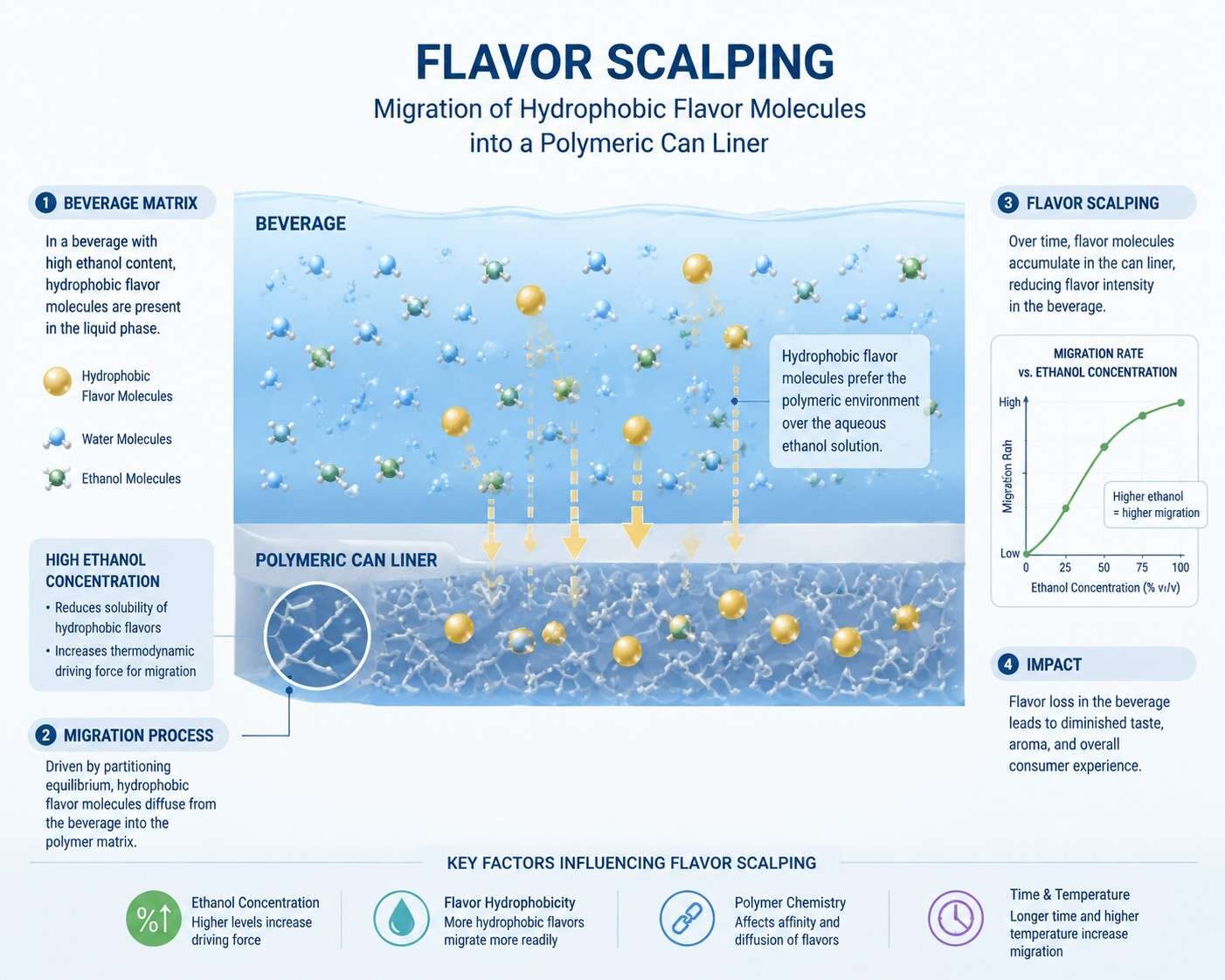 A clean technical schematic illustrating the flavor scalping process, showing hydrophobic flavor molecules migrating into a polymeric can liner influenced by ethanol concentration and diffusion dynamics.